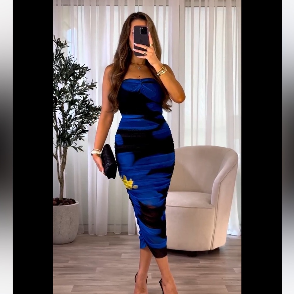JE4 NWT ZARA BLOGGER FAVE TULLE DRESS